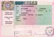 Виза в Бельгию: самая полная инструкция Получить визу в бельгию самостоятельно